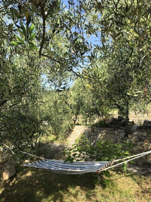 Villa Berio Due - Tuija Villa Viani ภายนอก รูปภาพ