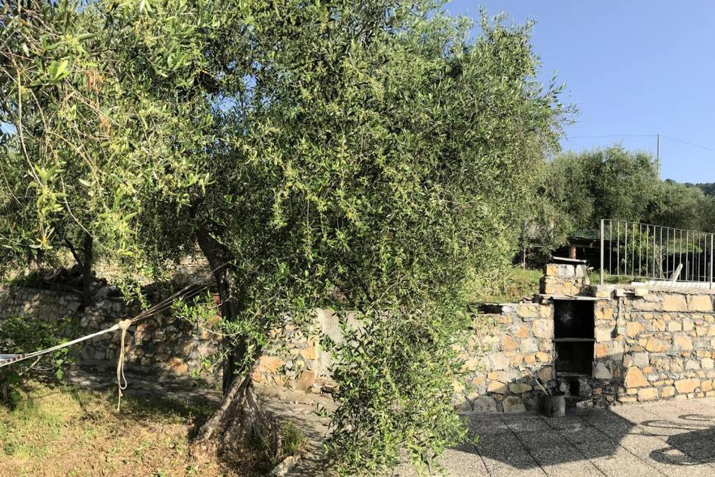 Villa Berio Due - Tuija Villa Viani ภายนอก รูปภาพ