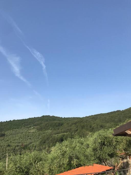 Villa Berio Due - Tuija Villa Viani ภายนอก รูปภาพ