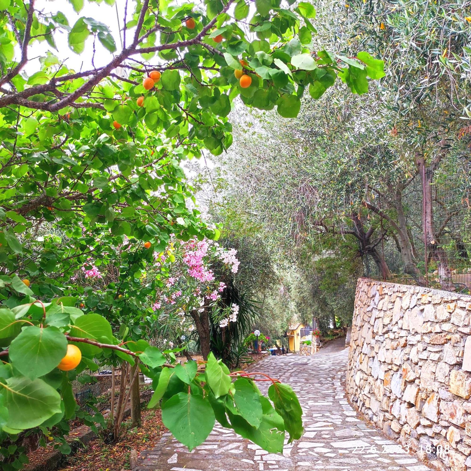 Villa Berio Due - Tuija Villa Viani ภายนอก รูปภาพ